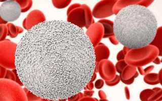 Понижение количества лейкоцитов в крови